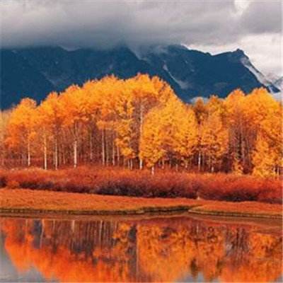 赛车竞技场无敌版